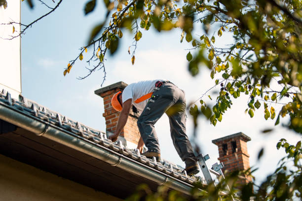 Best Affordable Roof Replacement  in Wona Lake, IN
